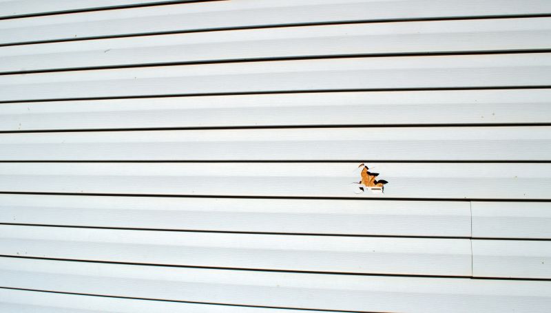 Vinyl Siding Repair - Professional Work - Image 1