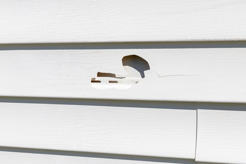 White Vinyl Siding Repair